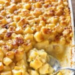 creamy potato dish recipe